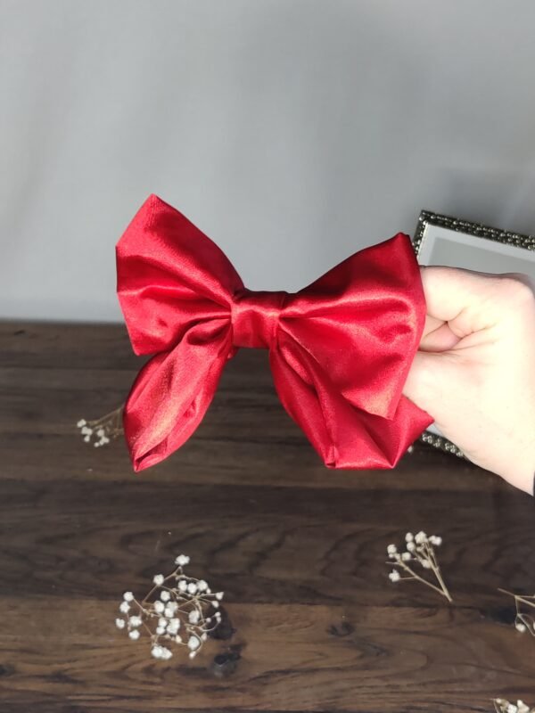 IMG_20241121_161015 Nœud court Satin rouge