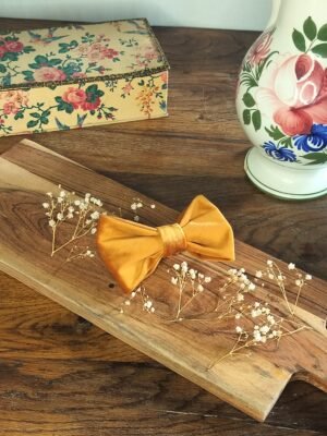 Nœud en Velours ocre