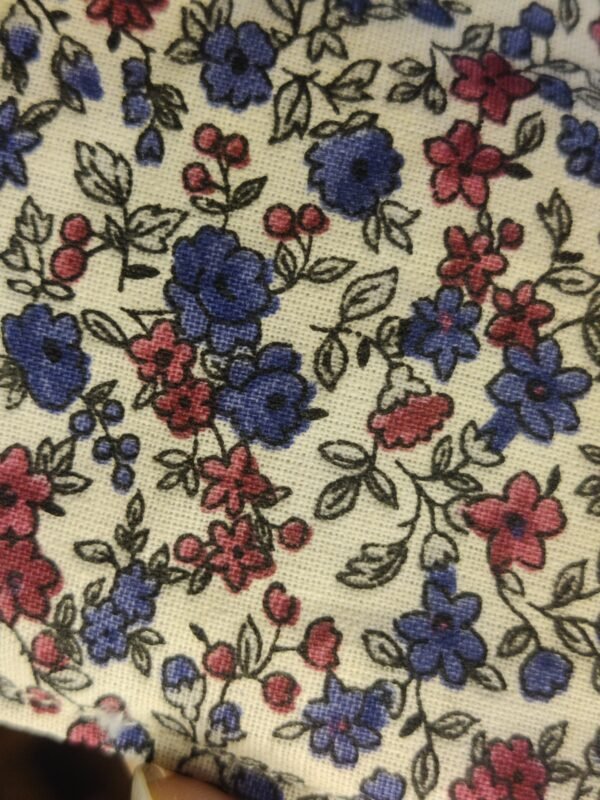 IMG_20260208_143727 Chouchou Adèle