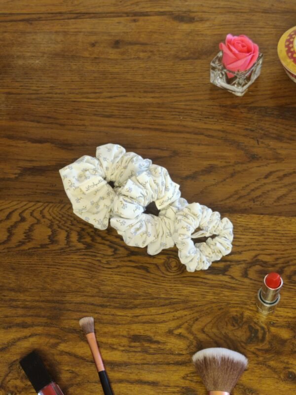 IMG_20260208_143902 Chouchou Céleste