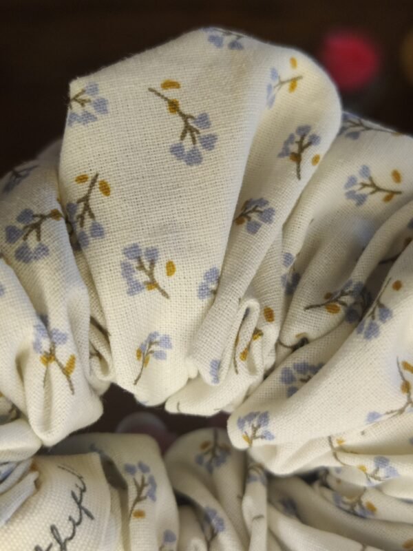 IMG_20260208_143914 Chouchou Céleste